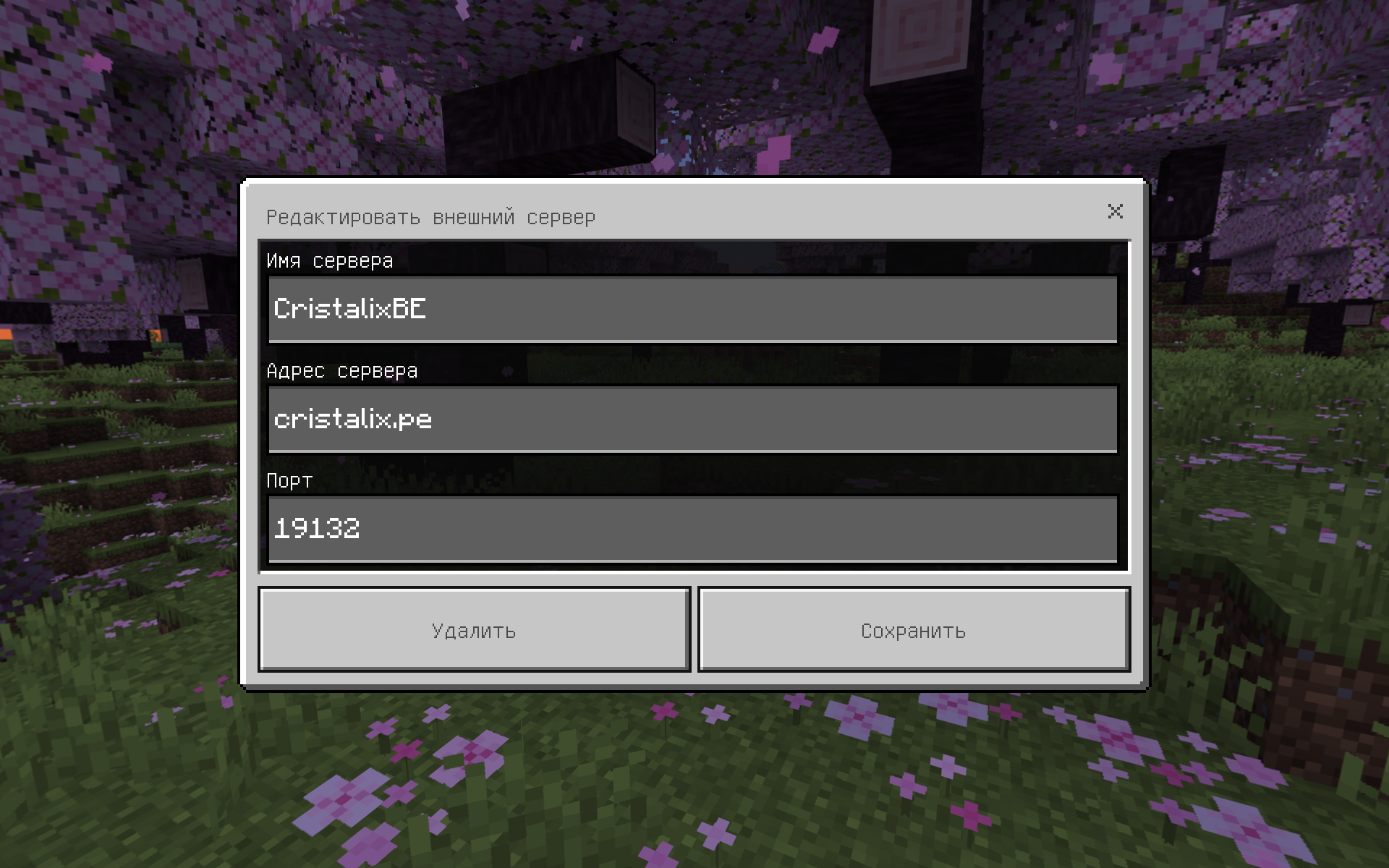 server info